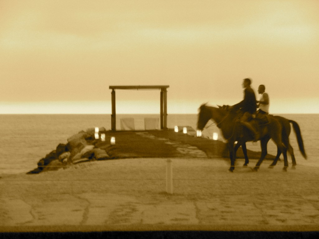 Horses on the beach, Puerto Vallarta