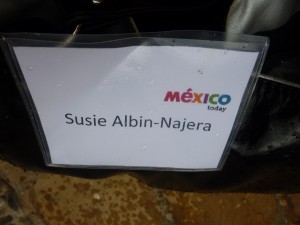 Susie Albin-Najera, Mexico Today