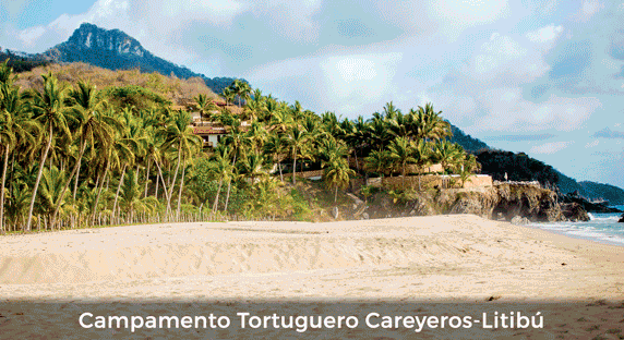Campamento Tortuguero Careyeros-Litibú